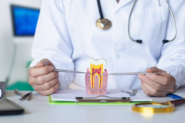 Best Emergency Dentist for Knocked-Out Tooth in Loyola, CA
